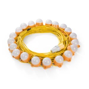 LED Module Festoon Light